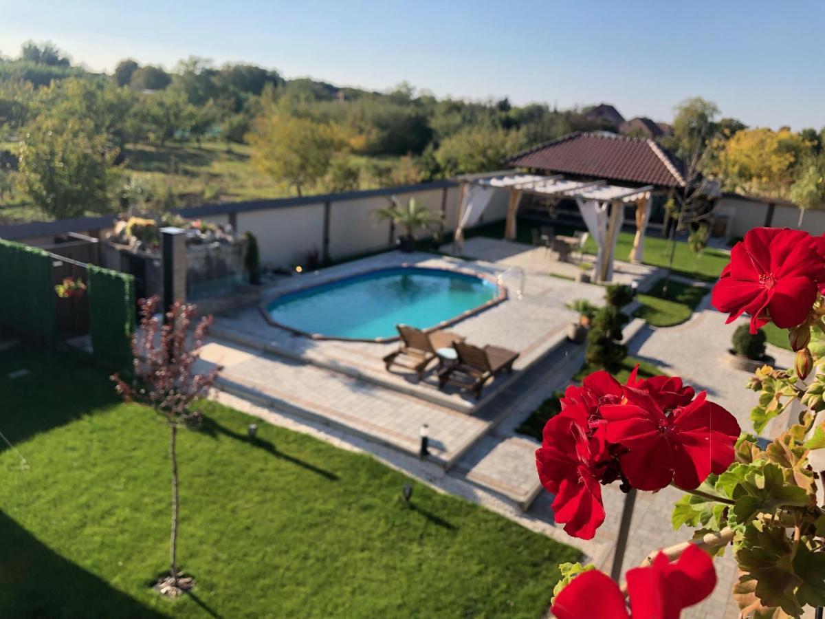 Kovac Residence Zrenjanin Ngoại thất bức ảnh